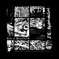 Personkrets 3:1 - Life is Beautiful