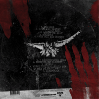 M:40 - Diagnos (black vinyl)