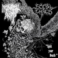 Primordial sounds/Social chaos - Split