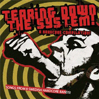 V/A - Tearing down the system