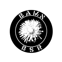 Bamn/Black Star Rising - Split