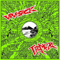 Vivisick/Tropiezo  - Split