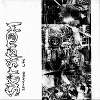 Skitsystem/Wolfpack - Split