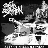 Beyond Description - Acts of sheer madness