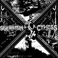 Skitsystem/Cyness - Split