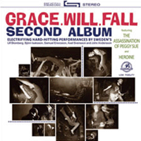 grace.will.fall - Second album