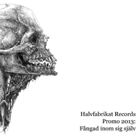 V/A - Halvfabrikat Records Promo 2013: Fångad inom sig själv