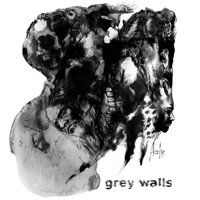 Grey Walls - Asche