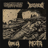 Agathocles/Kerenaneko/Prosuck/Rvota  - Split