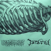 Agathocles/Вегатив - Split