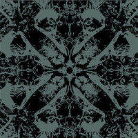 Insidious Process - Mirrors Of The Dead