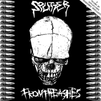 Splitter/From the ashes - Split