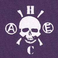 Misantropic - A//E skull (purple)