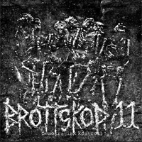 Brottskod 11 - Demokratisk kontroll