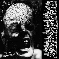 Agathocles/Disorder - Split