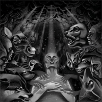 Herida/Tarsius Tarsier - Split