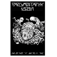 Parlamentarisk sodomi  - Har du sagt A får du si Nal