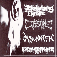 Embalming theatre/Jigsore/Dysmorfic/Kadaverficker - 4 way split