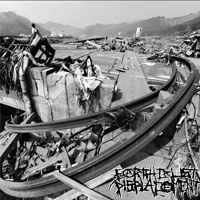 Earth crust displacement - D-takt noize