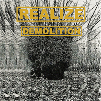 Realize - Demolition