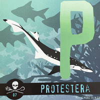 Protestera - S/T (Sea Shepherd Benefit)