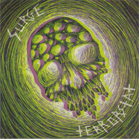 Terrorstat/Surge - Split