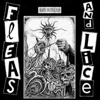Fleas and lice - Global destruction