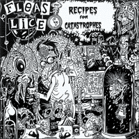 Fleas and lice - Recipes of catastrophies