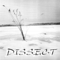 Dissect/Los Rezios - Split
