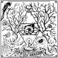 Drip of lies/Rivers run dry - Split